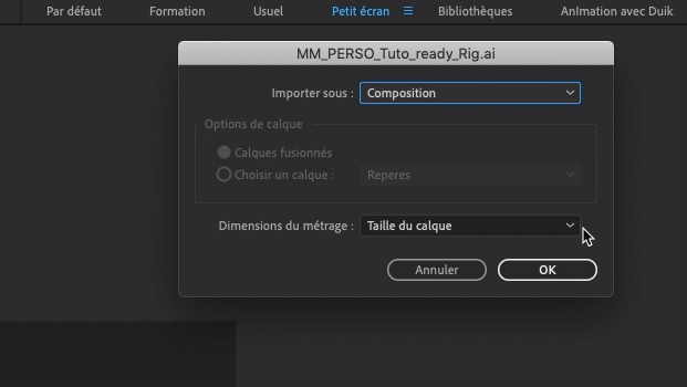 importation-fichier-illustrator-pour-After-Effects