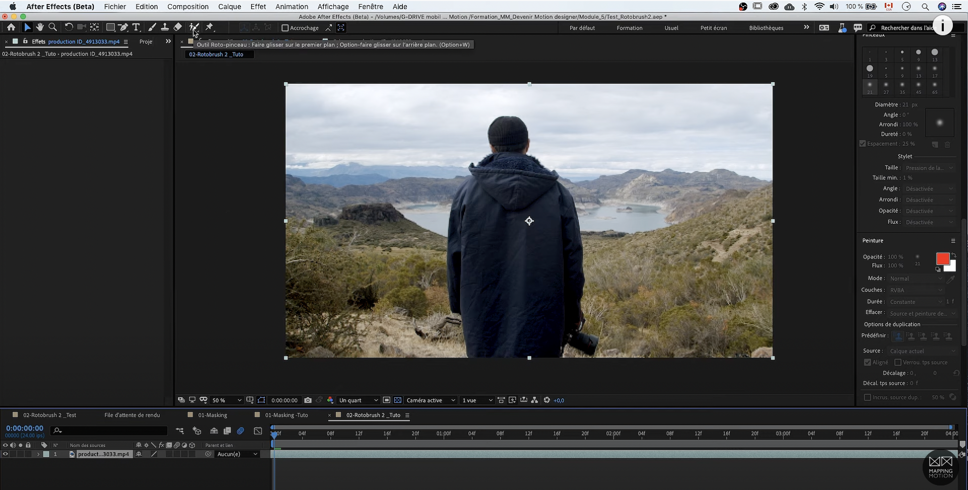 capture after effects